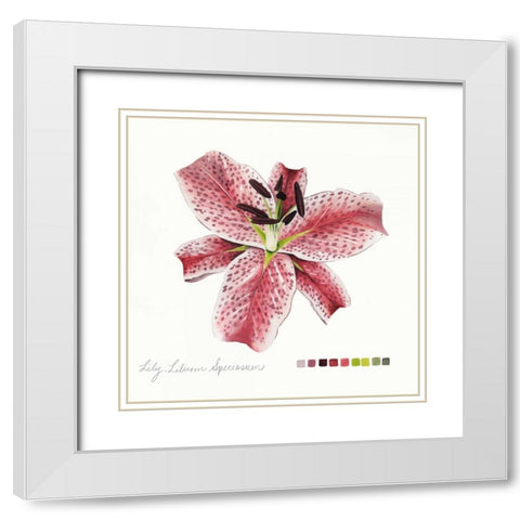 Lilium III White Modern Wood Framed Art Print with Double Matting by Popp, Grace