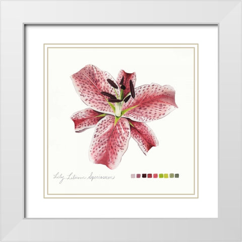 Lilium III White Modern Wood Framed Art Print with Double Matting by Popp, Grace