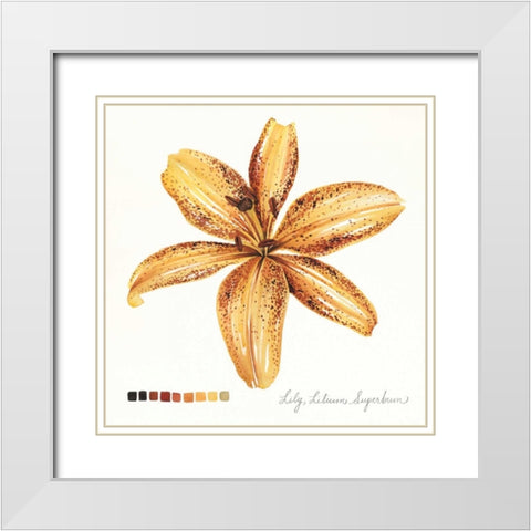 Lilium IV White Modern Wood Framed Art Print with Double Matting by Popp, Grace
