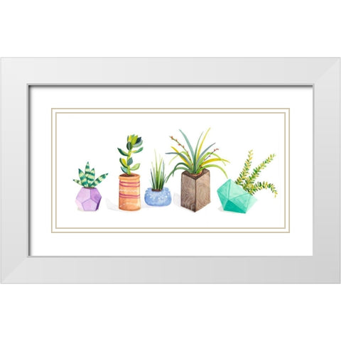 Succulent Display I White Modern Wood Framed Art Print with Double Matting by Ewer, Rebekah