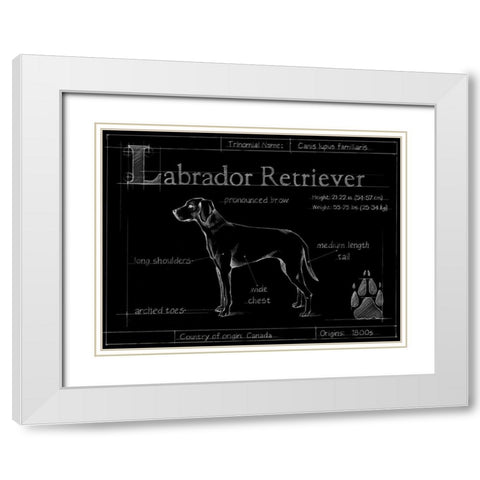 Blueprint Labrador Retriever White Modern Wood Framed Art Print with Double Matting by Ethan Harper