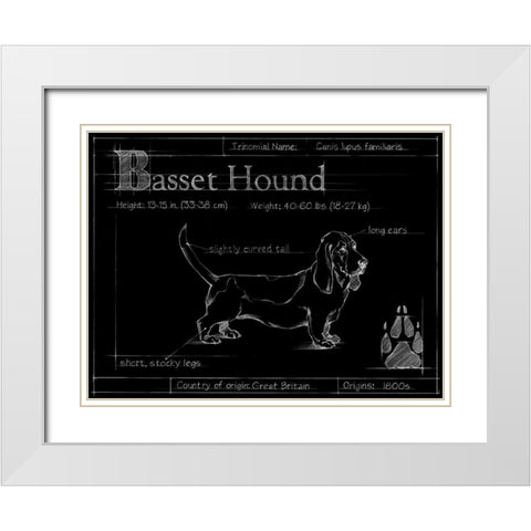 Blueprint Bassett Hound White Modern Wood Framed Art Print with Double Matting by Ethan Harper