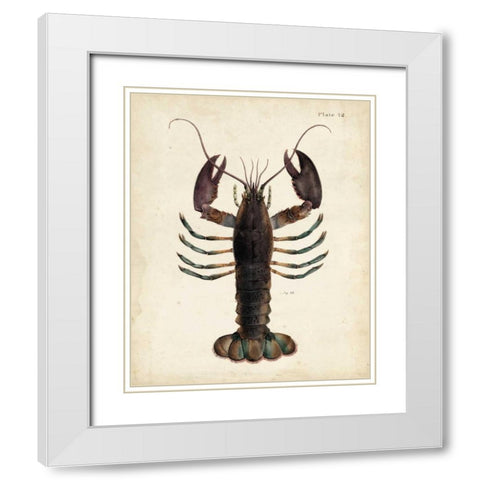 Vintage Lobster White Modern Wood Framed Art Print with Double Matting by Dekay
