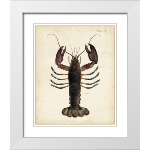 Vintage Lobster White Modern Wood Framed Art Print with Double Matting by Dekay