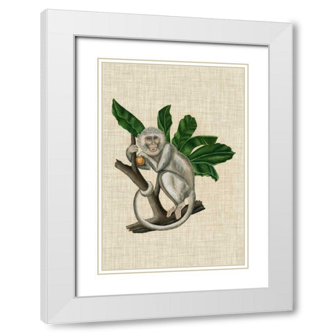 Canopy Monkey II White Modern Wood Framed Art Print with Double Matting by McCavitt, Naomi