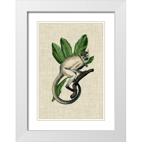 Canopy Monkey IV White Modern Wood Framed Art Print with Double Matting by McCavitt, Naomi