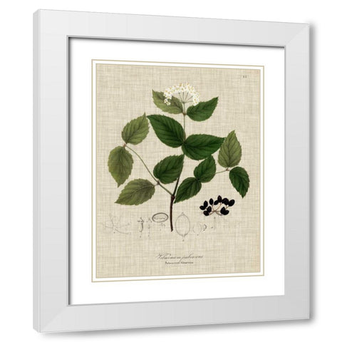 Linen and Leaves I White Modern Wood Framed Art Print with Double Matting by Vision Studio