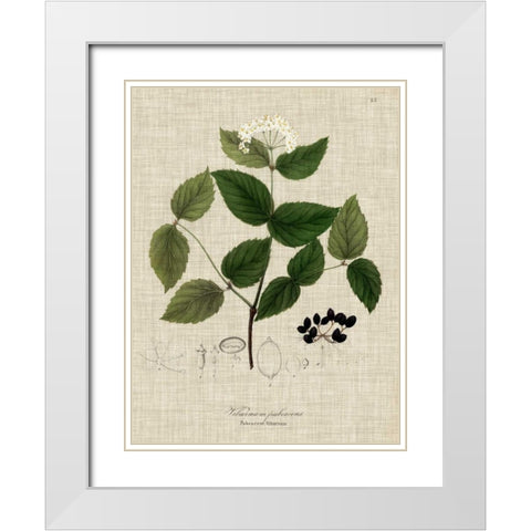 Linen and Leaves I White Modern Wood Framed Art Print with Double Matting by Vision Studio