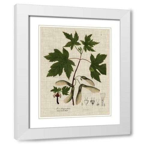 Linen and Leaves II White Modern Wood Framed Art Print with Double Matting by Vision Studio