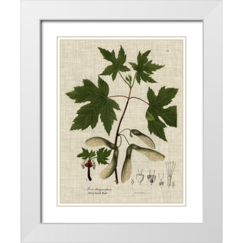 Linen and Leaves II White Modern Wood Framed Art Print with Double Matting by Vision Studio