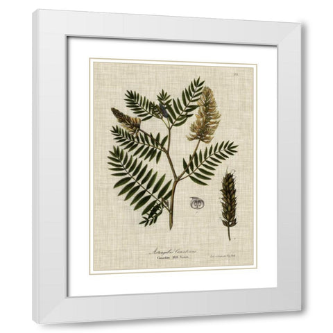 Linen and Leaves III White Modern Wood Framed Art Print with Double Matting by Vision Studio