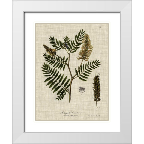 Linen and Leaves III White Modern Wood Framed Art Print with Double Matting by Vision Studio