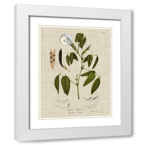Linen and Leaves IV White Modern Wood Framed Art Print with Double Matting by Vision Studio