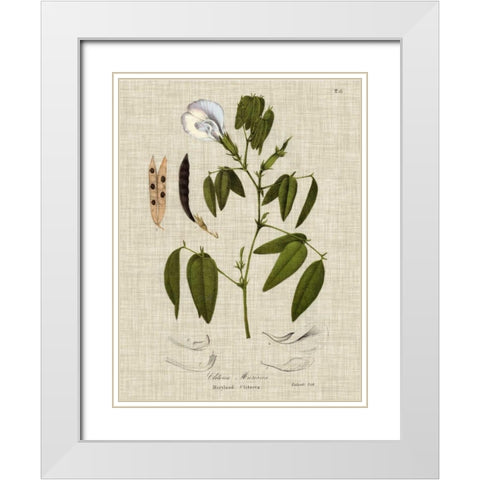 Linen and Leaves IV White Modern Wood Framed Art Print with Double Matting by Vision Studio