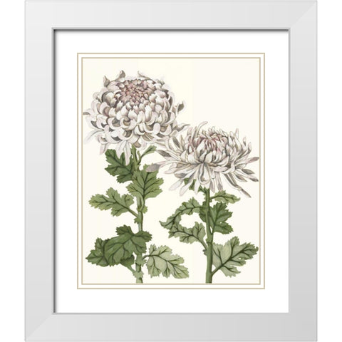 Early Spring Chrysanthemums II White Modern Wood Framed Art Print with Double Matting by McCavitt, Naomi