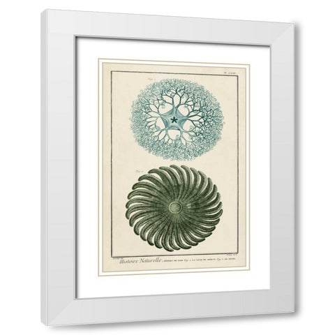 Ocean Oddity I White Modern Wood Framed Art Print with Double Matting by Vision Studio