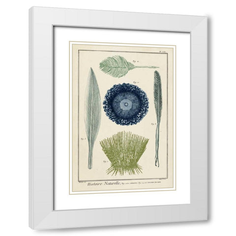 Ocean Oddity II White Modern Wood Framed Art Print with Double Matting by Vision Studio