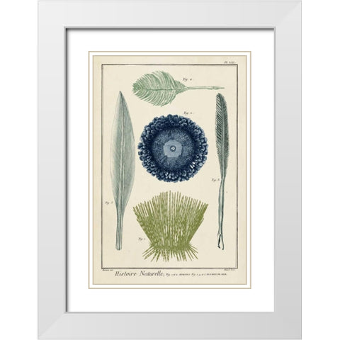Ocean Oddity II White Modern Wood Framed Art Print with Double Matting by Vision Studio