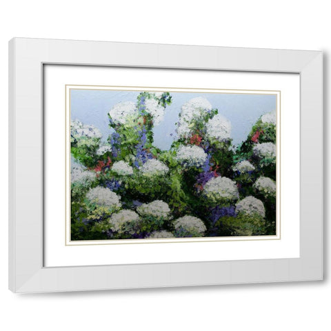 Mums Garden White Modern Wood Framed Art Print with Double Matting by Friedlander, Allan