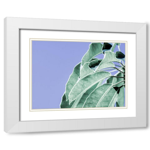 Clear Leaves on Blue I White Modern Wood Framed Art Print with Double Matting by Bane, Eva