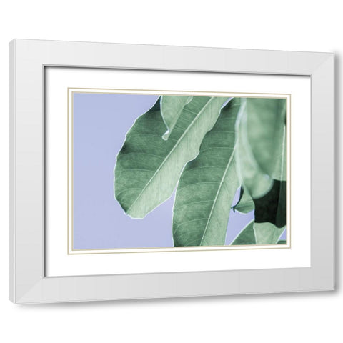 Clear Leaves on Blue II White Modern Wood Framed Art Print with Double Matting by Bane, Eva