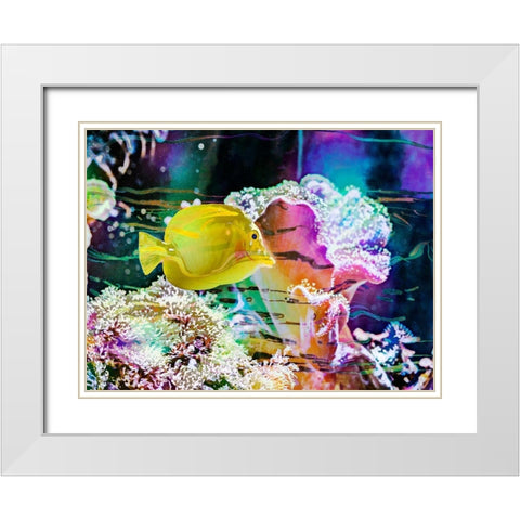 Vibrant Reef IV White Modern Wood Framed Art Print with Double Matting by Bane, Eva