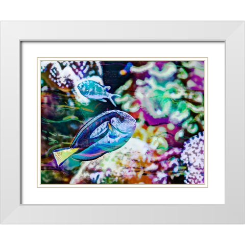 Vibrant Reef V White Modern Wood Framed Art Print with Double Matting by Bane, Eva