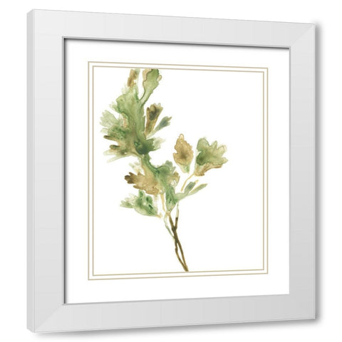 Earthtone Herbs I White Modern Wood Framed Art Print with Double Matting by Vess, June Erica
