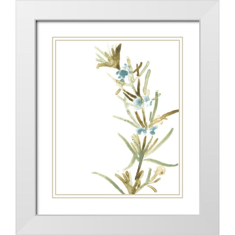 Earthtone Herbs III White Modern Wood Framed Art Print with Double Matting by Vess, June Erica