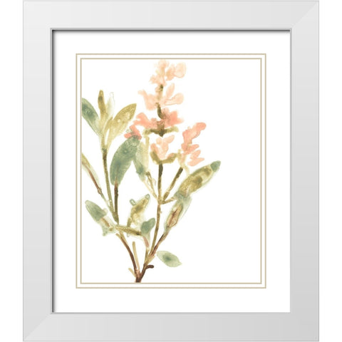 Earthtone Herbs IV White Modern Wood Framed Art Print with Double Matting by Vess, June Erica