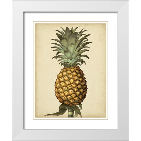 Brookshaw Antique Pineapple I White Modern Wood Framed Art Print with Double Matting by Brookshaw, George