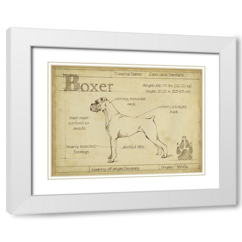 Antique Boxer (ASH) White Modern Wood Framed Art Print with Double Matting by Harper, Ethan