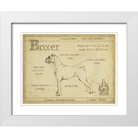Antique Boxer (ASH) White Modern Wood Framed Art Print with Double Matting by Harper, Ethan