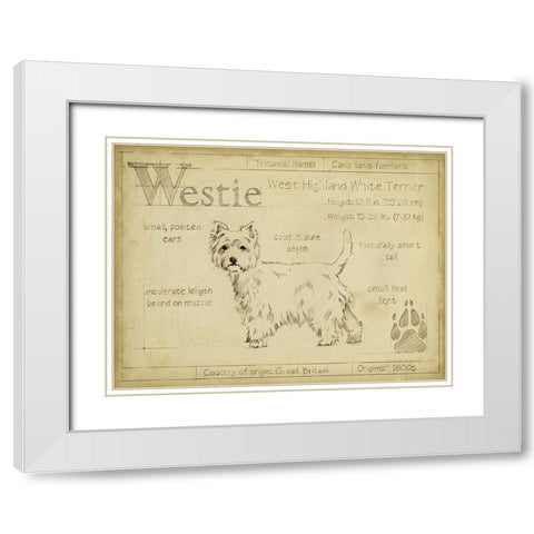 Antique Westie (ASH) White Modern Wood Framed Art Print with Double Matting by Harper, Ethan