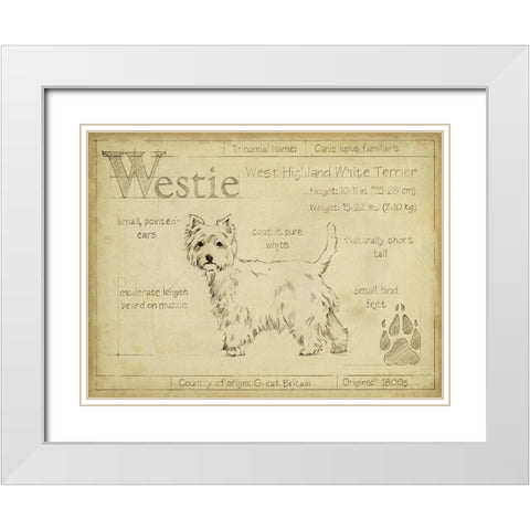 Antique Westie (ASH) White Modern Wood Framed Art Print with Double Matting by Harper, Ethan