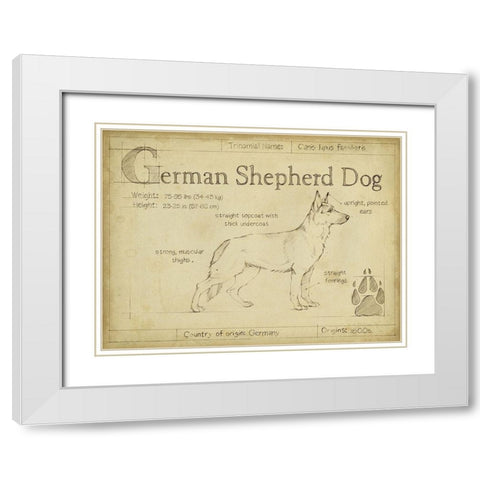 Antique German Shepherd (ASH) White Modern Wood Framed Art Print with Double Matting by Harper, Ethan