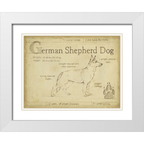 Antique German Shepherd (ASH) White Modern Wood Framed Art Print with Double Matting by Harper, Ethan