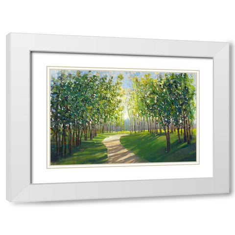 Walking Trail I White Modern Wood Framed Art Print with Double Matting by OToole, Tim