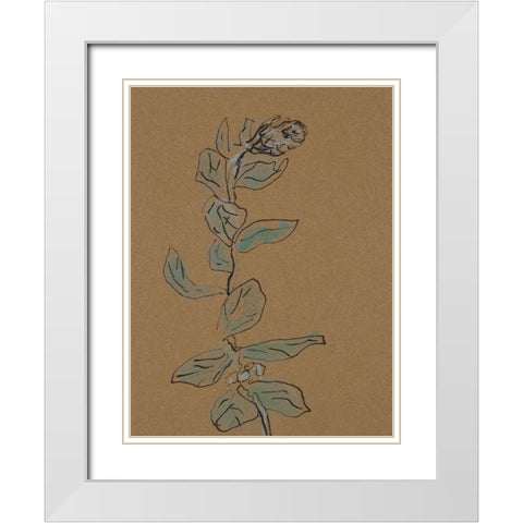 Little Plants of Big Sur XIV White Modern Wood Framed Art Print with Double Matting by Delamater, Rob