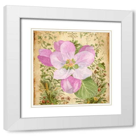 Vintage Apple Blossom II White Modern Wood Framed Art Print with Double Matting by Mark, Leslie
