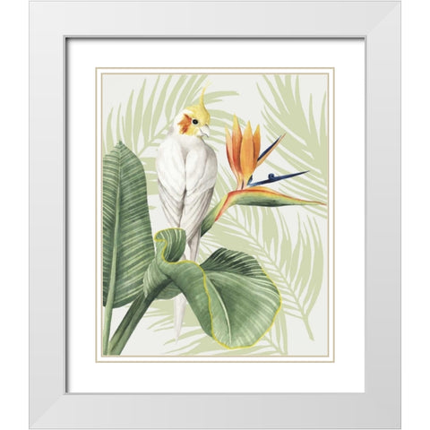 Avian Paradise II White Modern Wood Framed Art Print with Double Matting by Popp, Grace