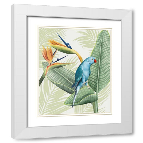 Avian Paradise III White Modern Wood Framed Art Print with Double Matting by Popp, Grace