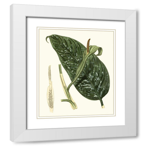 Grand Foliage I White Modern Wood Framed Art Print with Double Matting by Vision Studio