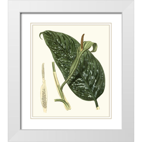 Grand Foliage I White Modern Wood Framed Art Print with Double Matting by Vision Studio