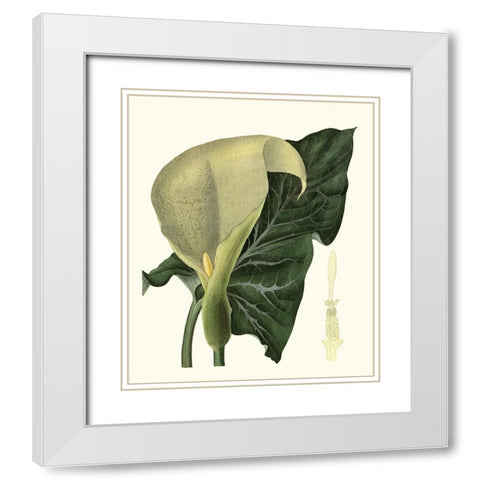 Grand Foliage III White Modern Wood Framed Art Print with Double Matting by Vision Studio