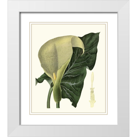Grand Foliage III White Modern Wood Framed Art Print with Double Matting by Vision Studio