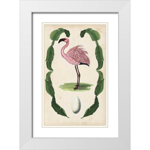 Antiquarian Menagerie - Flamingo II White Modern Wood Framed Art Print with Double Matting by McCavitt, Naomi