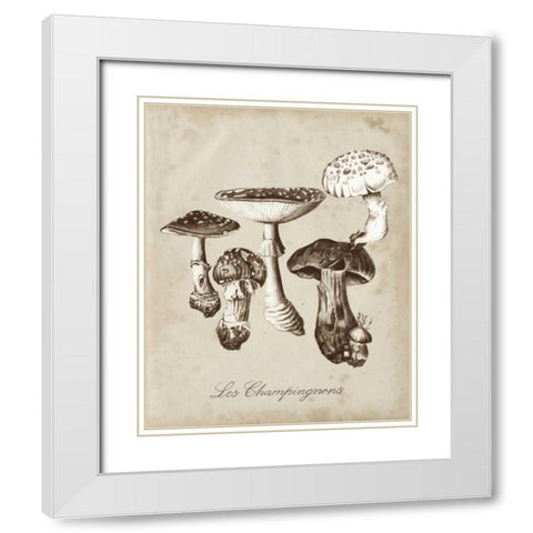 Les Champignons I White Modern Wood Framed Art Print with Double Matting by McCavitt, Naomi
