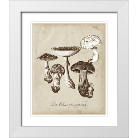 Les Champignons I White Modern Wood Framed Art Print with Double Matting by McCavitt, Naomi