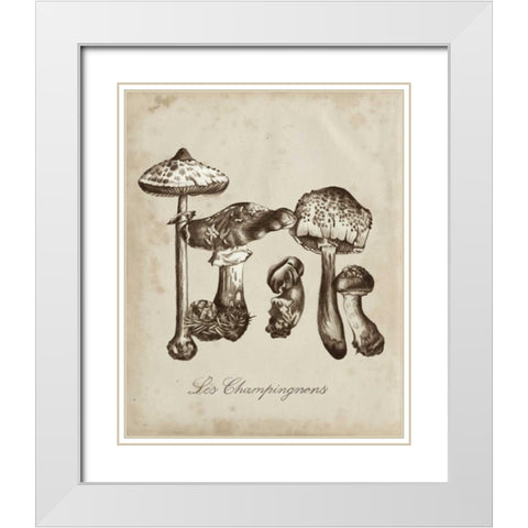 Les Champignons II White Modern Wood Framed Art Print with Double Matting by McCavitt, Naomi